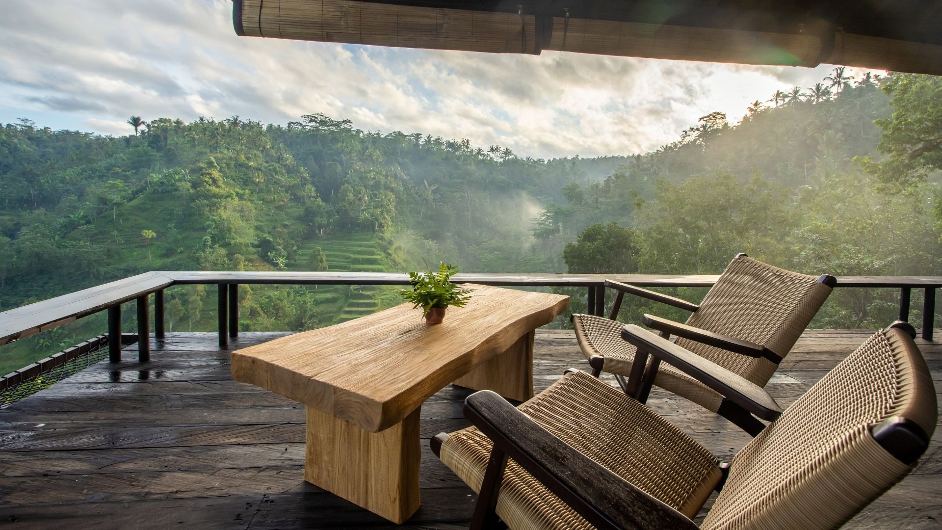 BTE-Restaurant-The Botanist-6.jpg